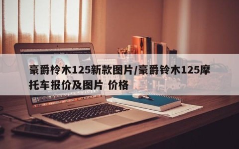 豪爵柃木125新款图片/豪爵铃木125摩托车报价及图片 价格