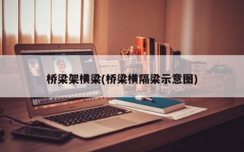 桥梁架横梁(桥梁横隔梁示意图)