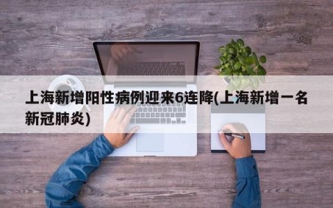 上海新增阳性病例迎来6连降(上海新增一名新冠肺炎)